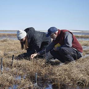 Bob and Lauren performing phenology measurements in Atqasuk, AK